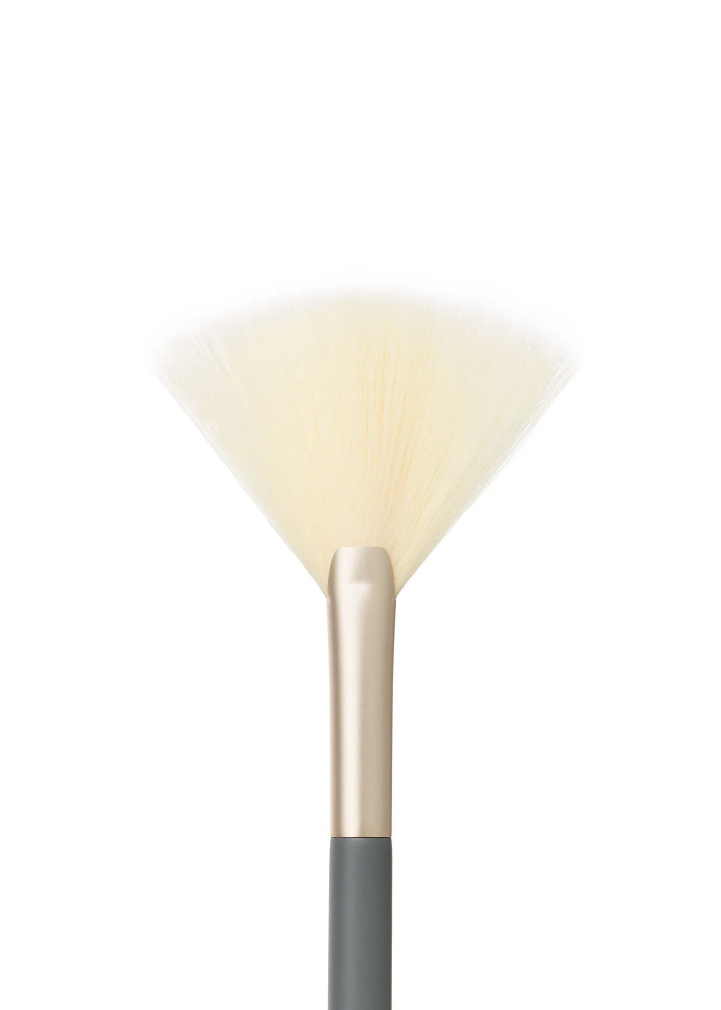 Fan Brush