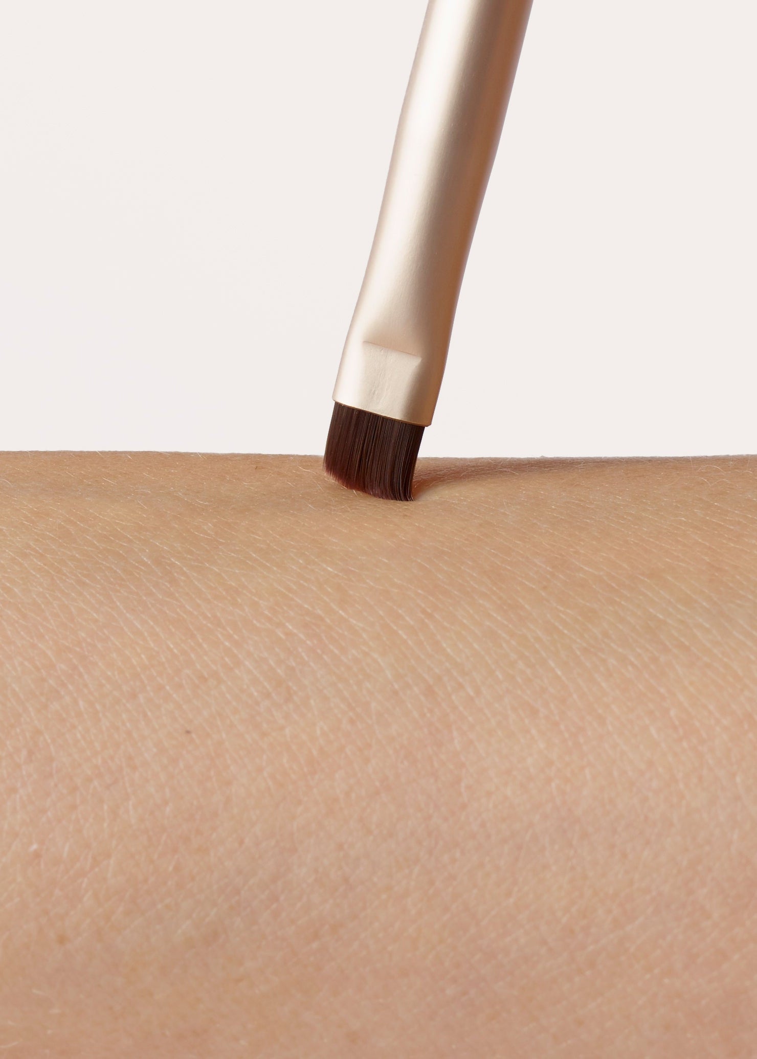 Eye/Brow Brush