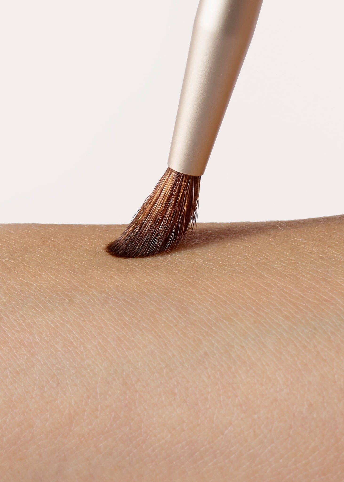 Detail Brush