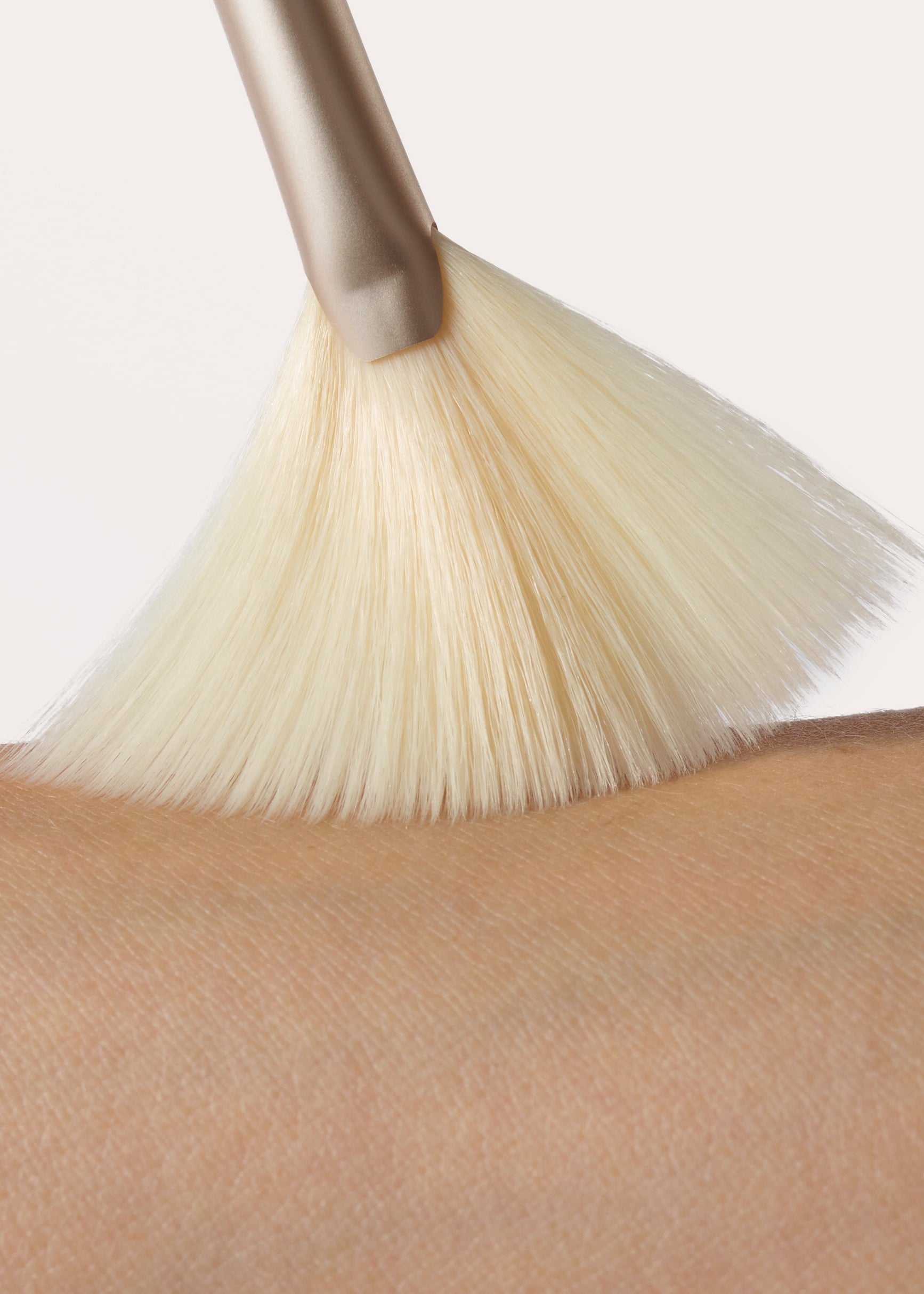 Fan Brush