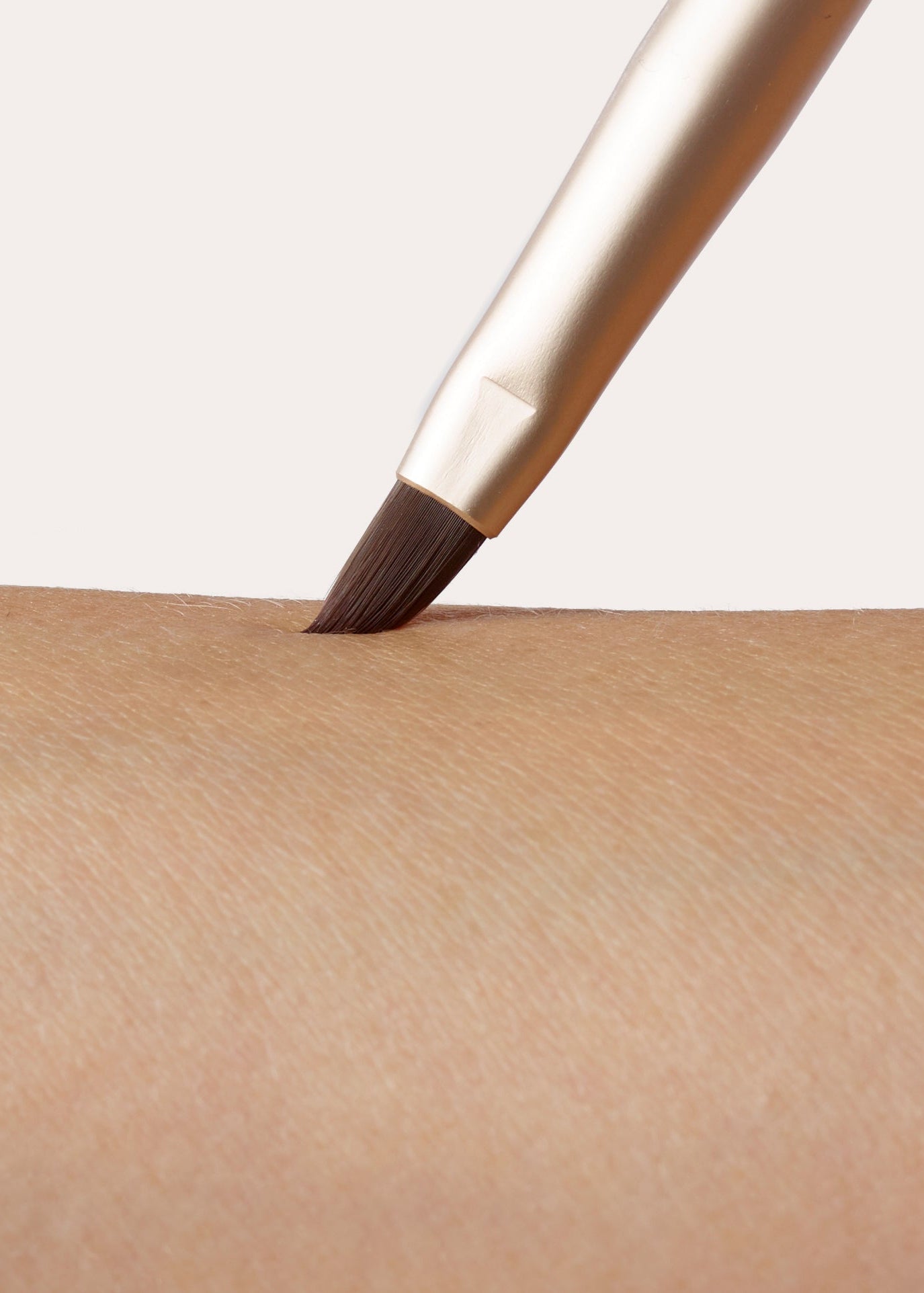 Lip Brush