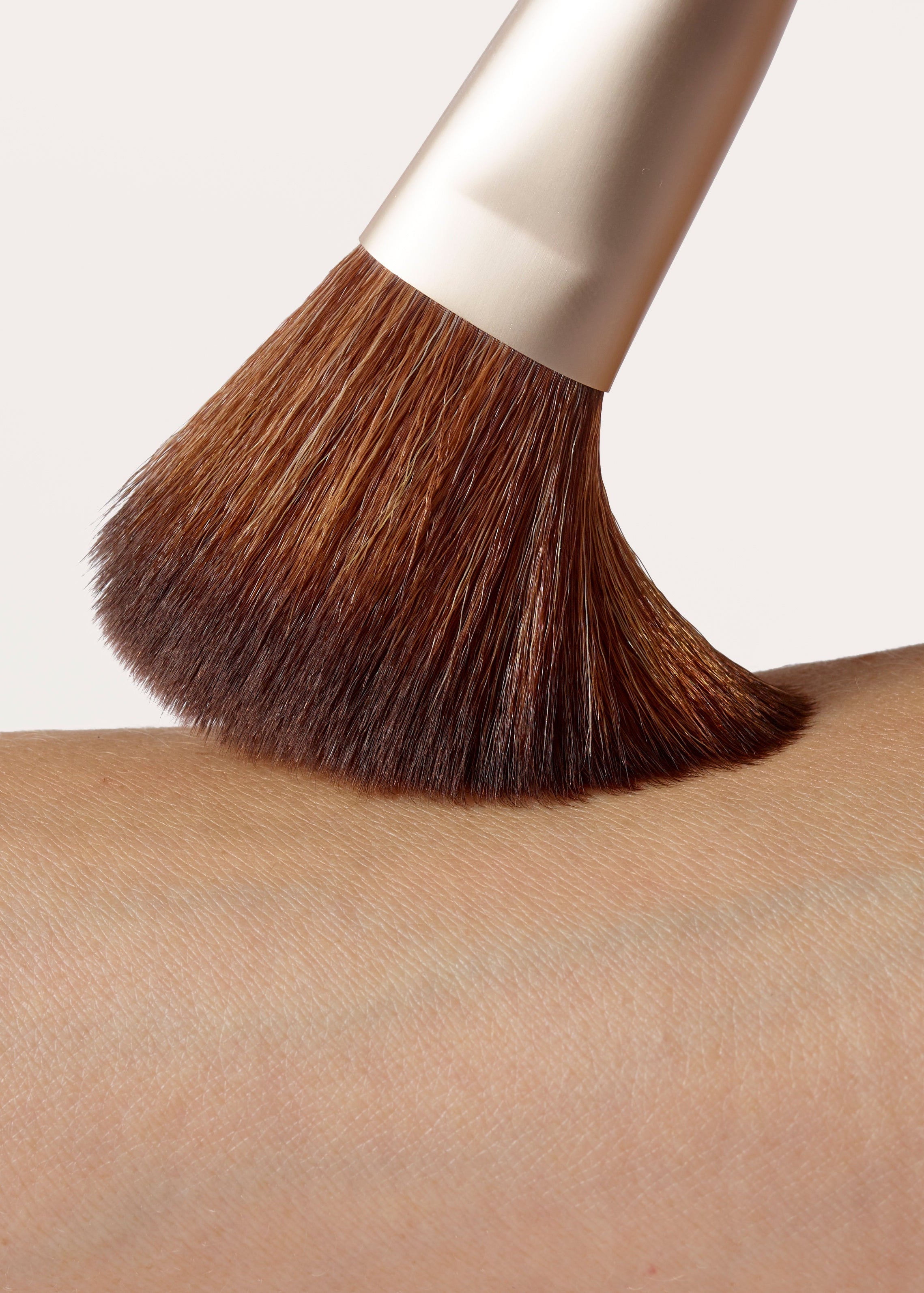 Powder Complexion Brush